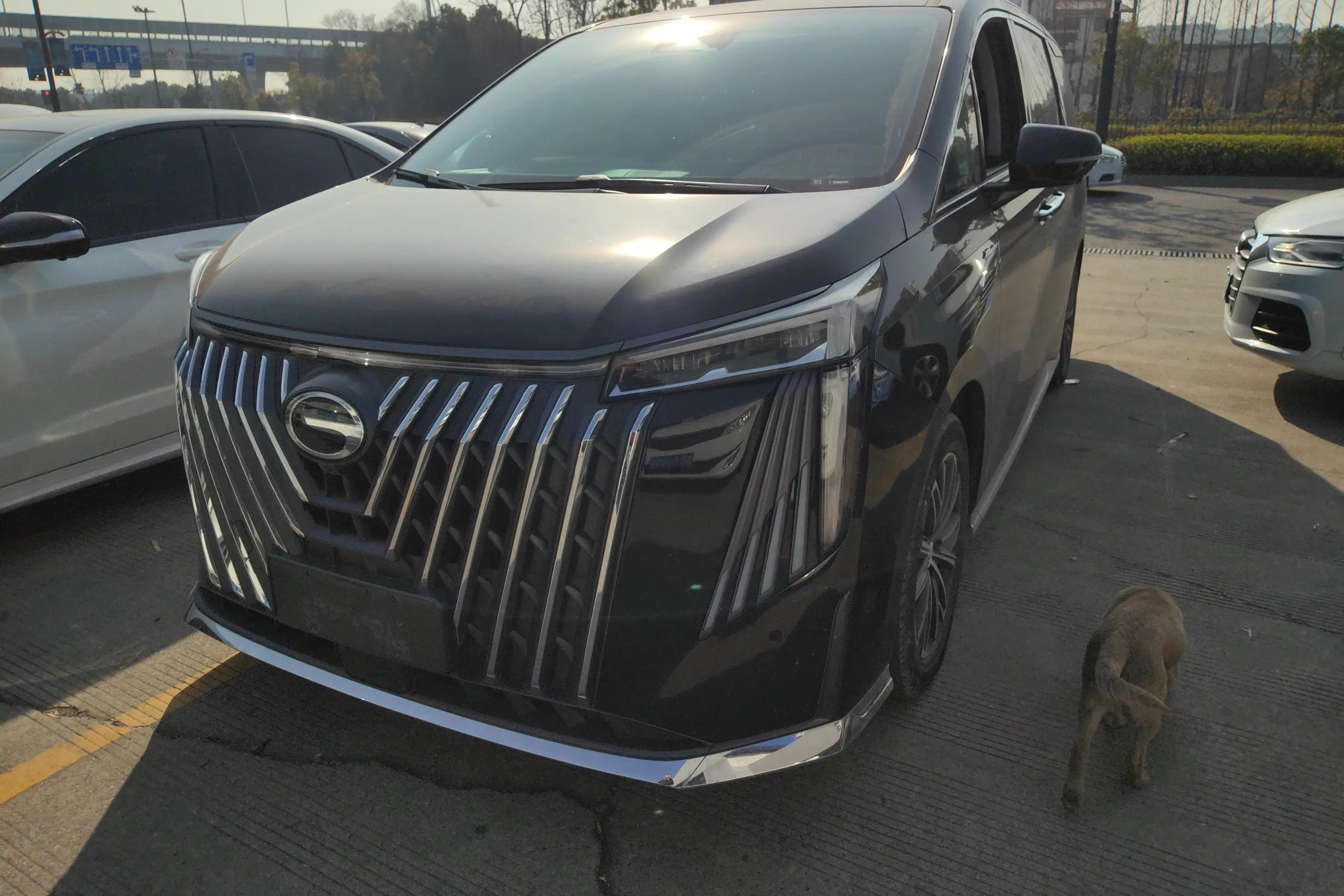 GAC Trumpchi M8  из Китая