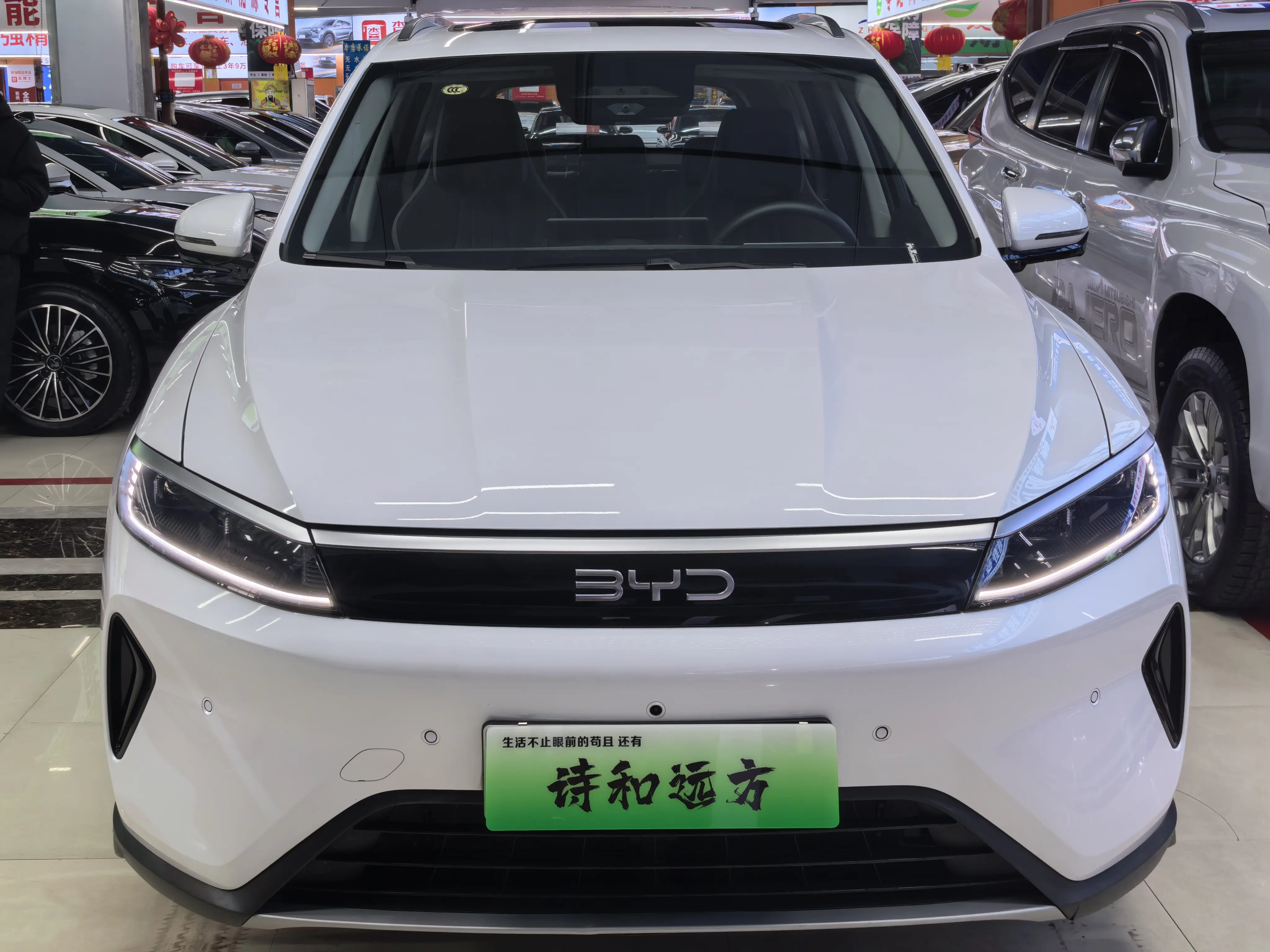 BYD Sea Lion 05DM  из Китая