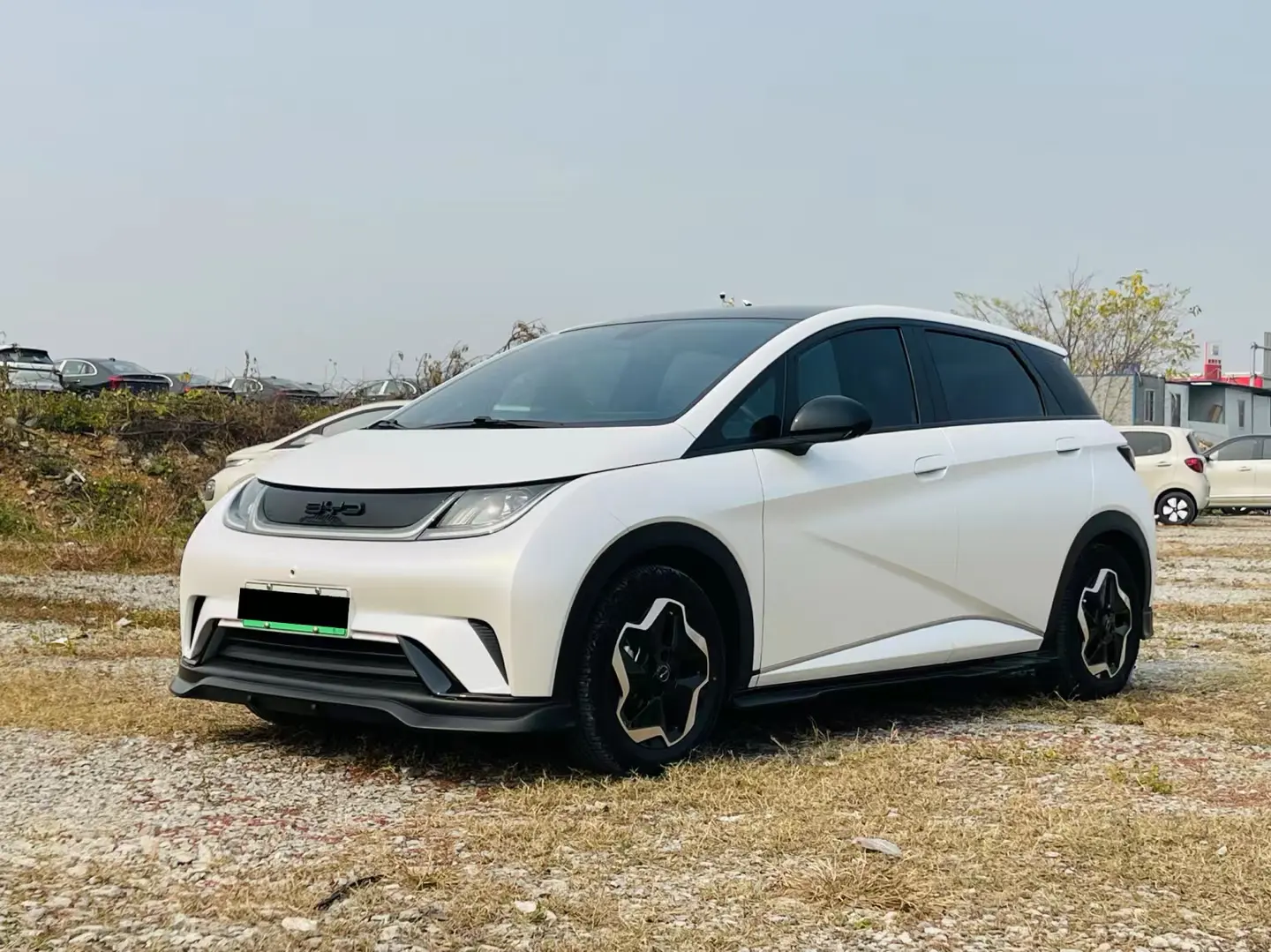 BYD Dolphin  из Китая