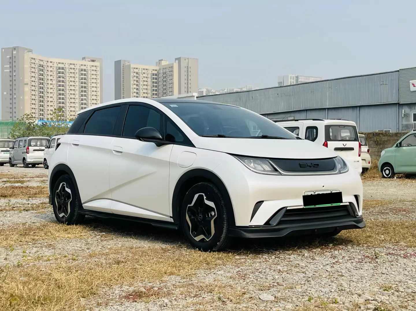 BYD Dolphin  из Китая