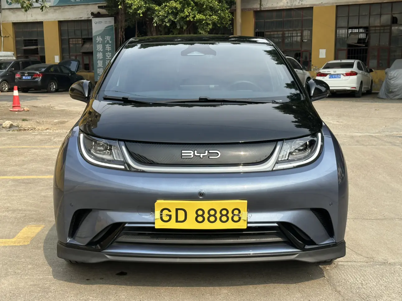 BYD Dolphin  из Китая