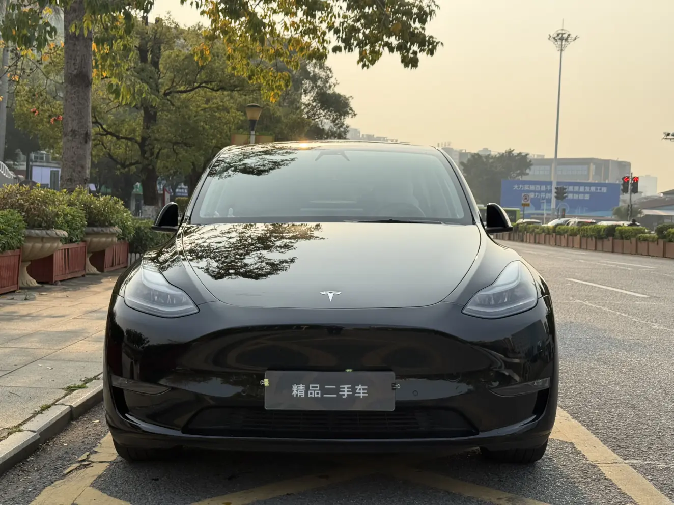 Tesla Model Y  из Китая