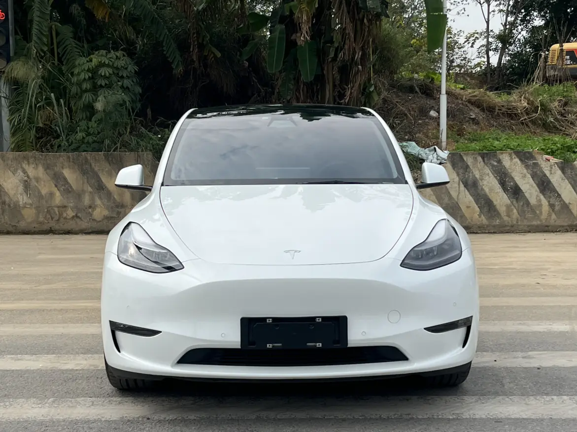Tesla Model Y  из Китая