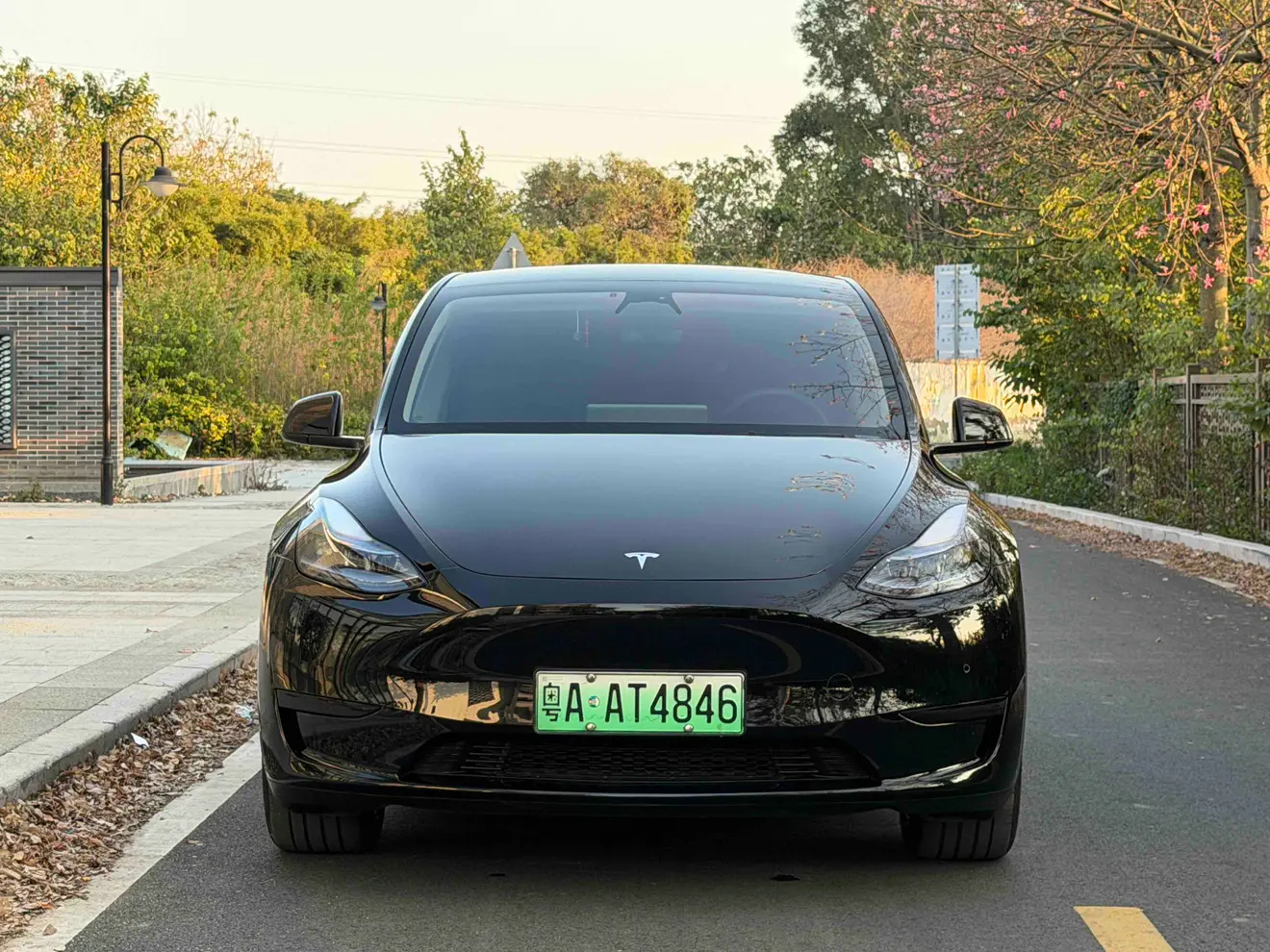 Tesla Model Y  из Китая