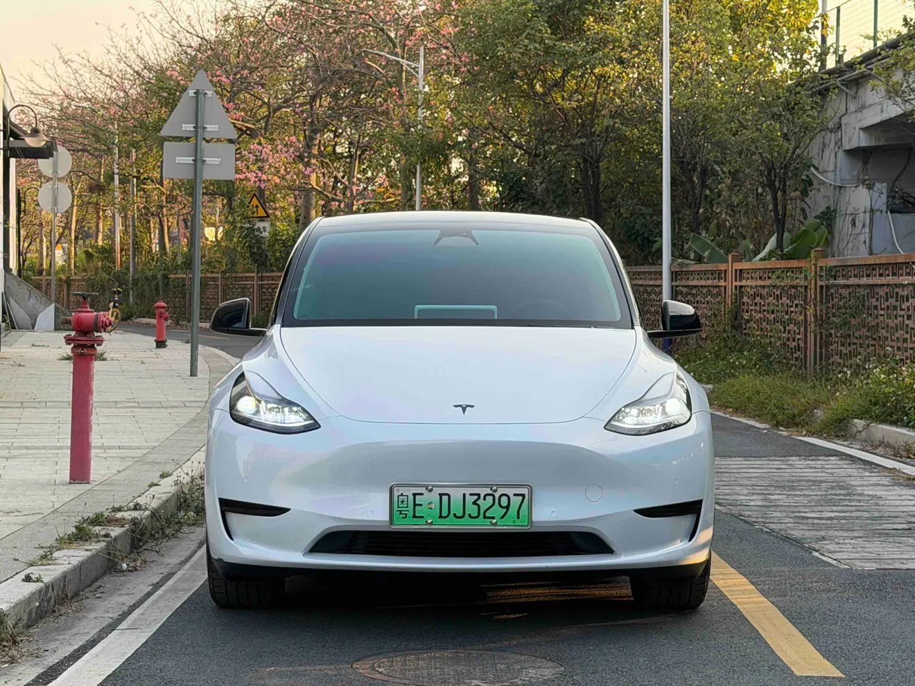 Tesla Model Y  из Китая