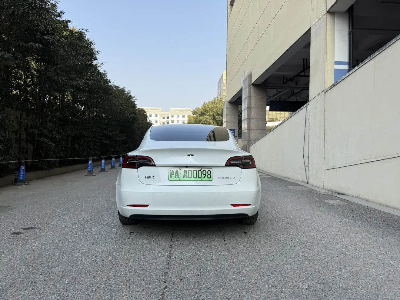 Tesla Model 3  из Китая