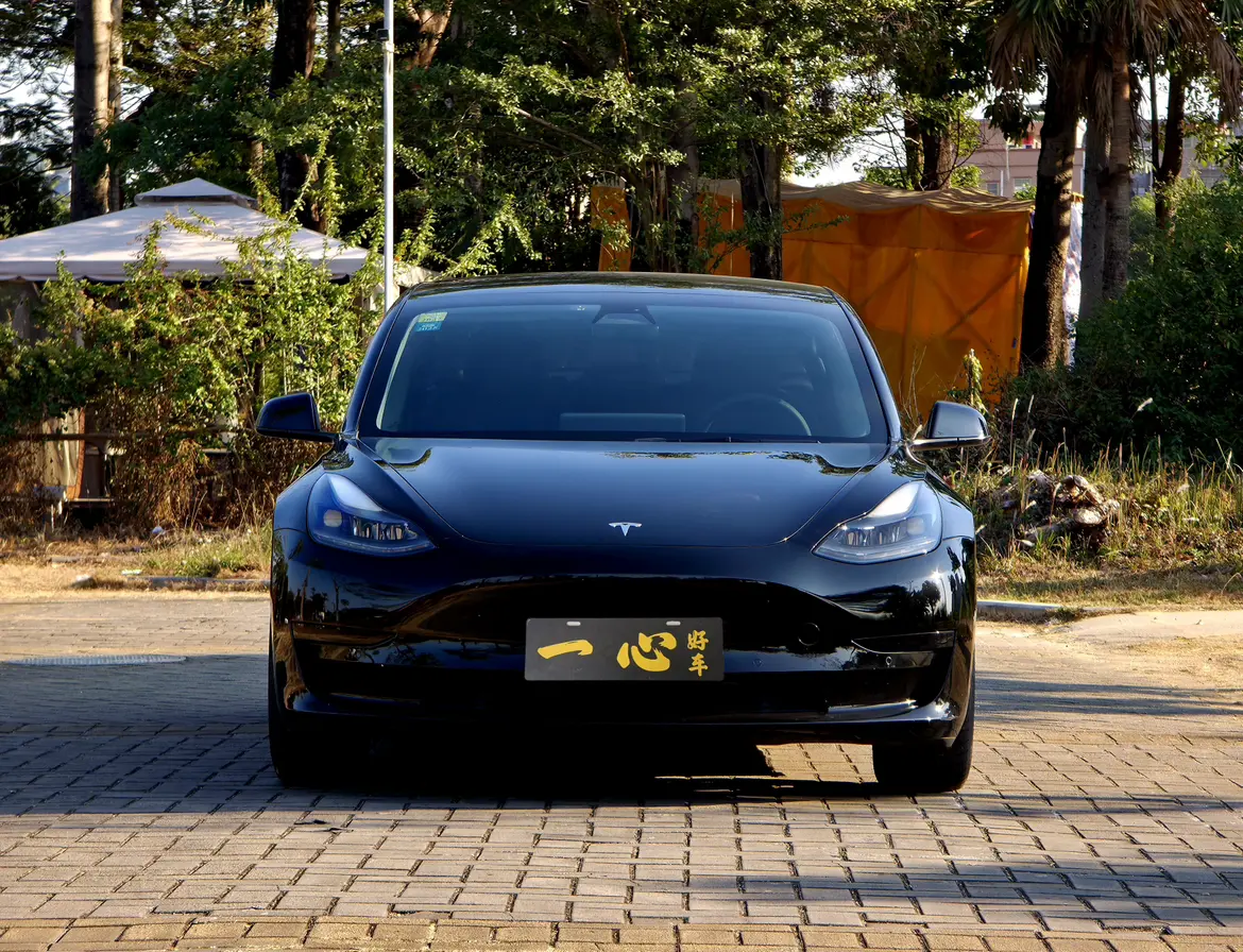 Tesla Model 3  из Китая