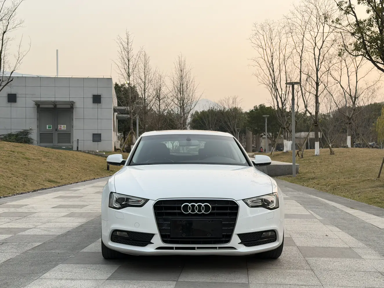 Audi A5  из Китая