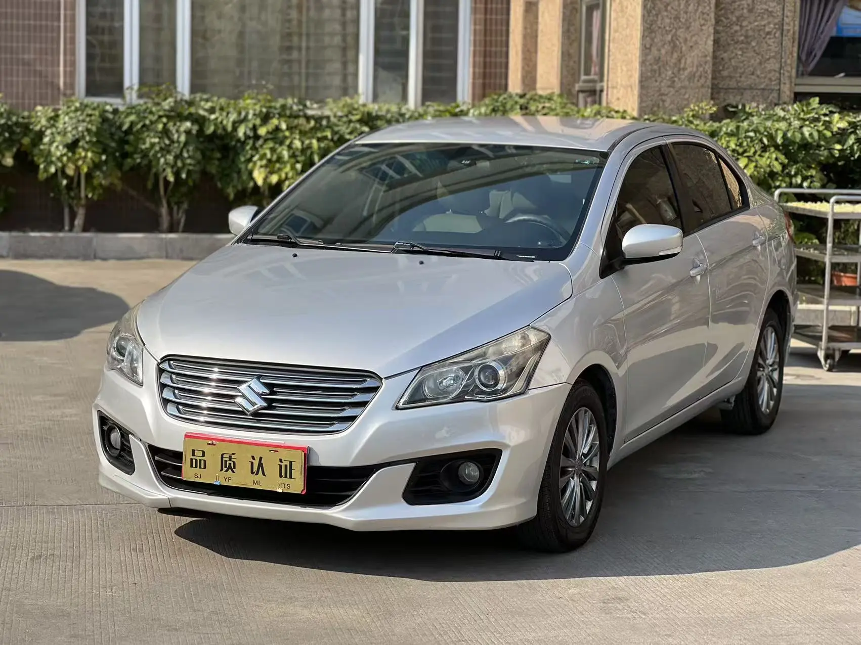 Suzuki Qiyue  из Китая