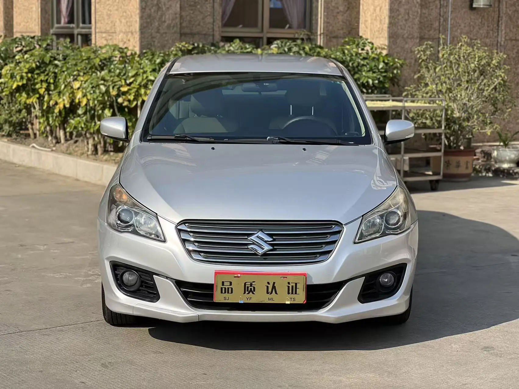 Suzuki Qiyue  из Китая