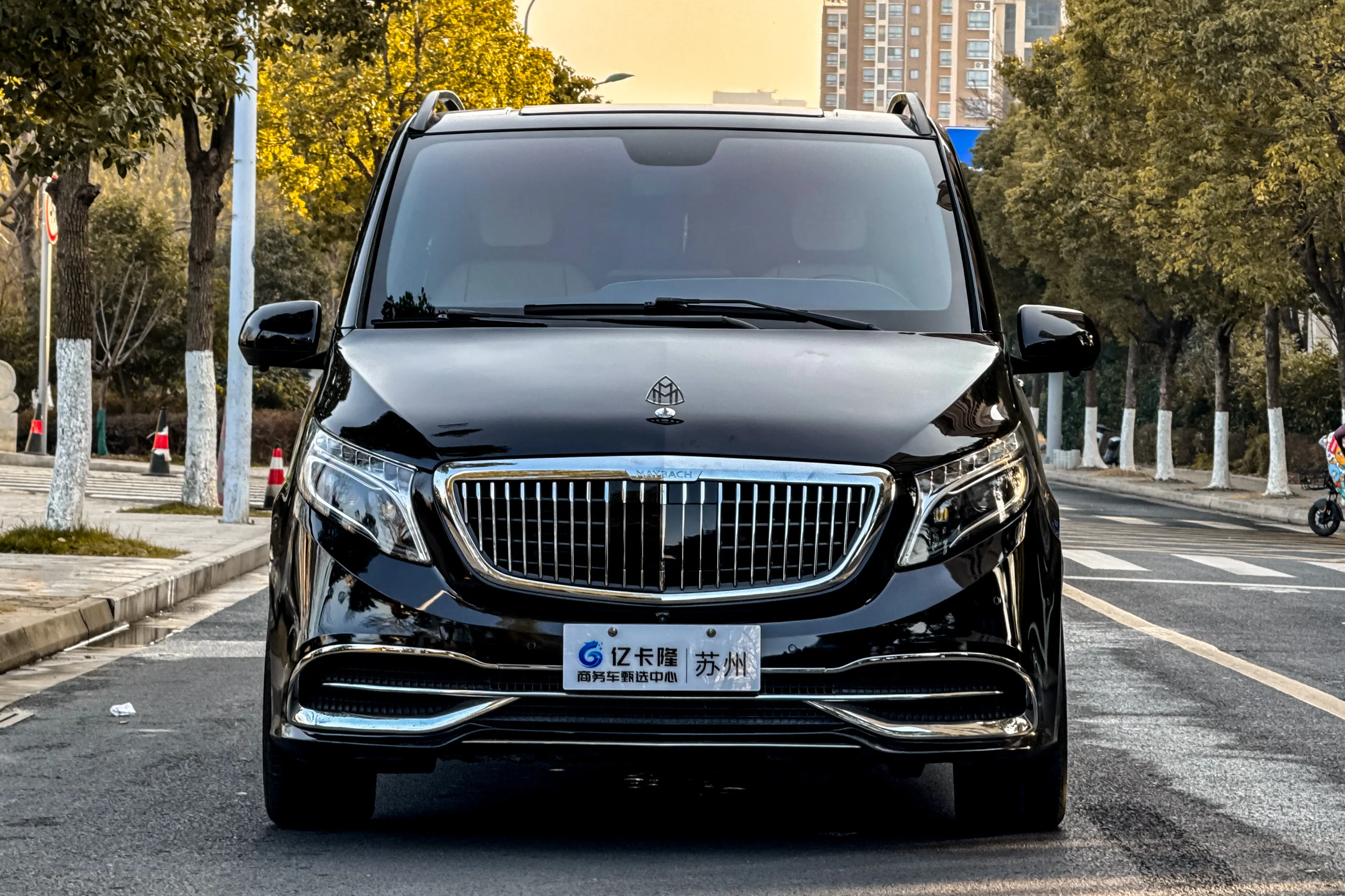 Mercedes-Benz Vito  из Китая