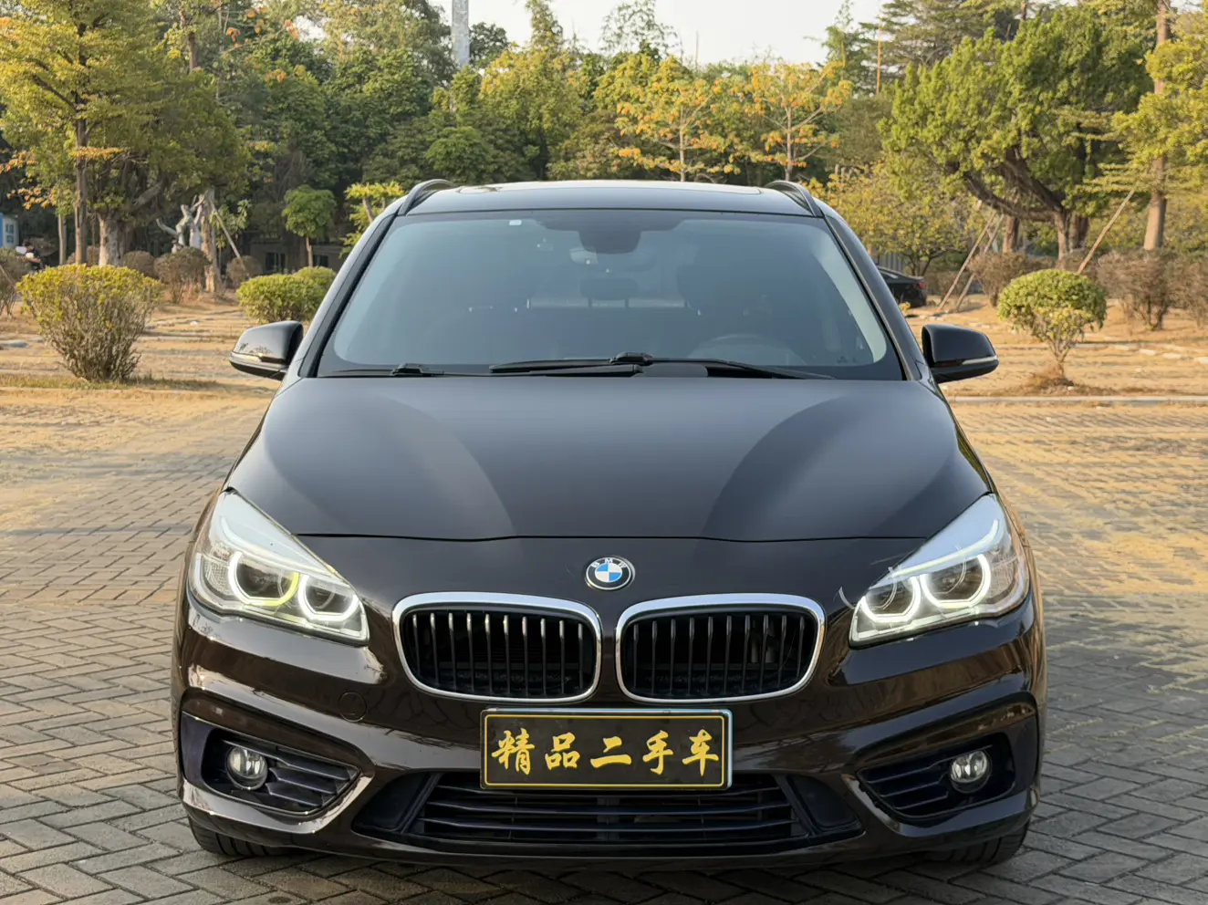 BMW 2 Series Active Tourer  из Китая