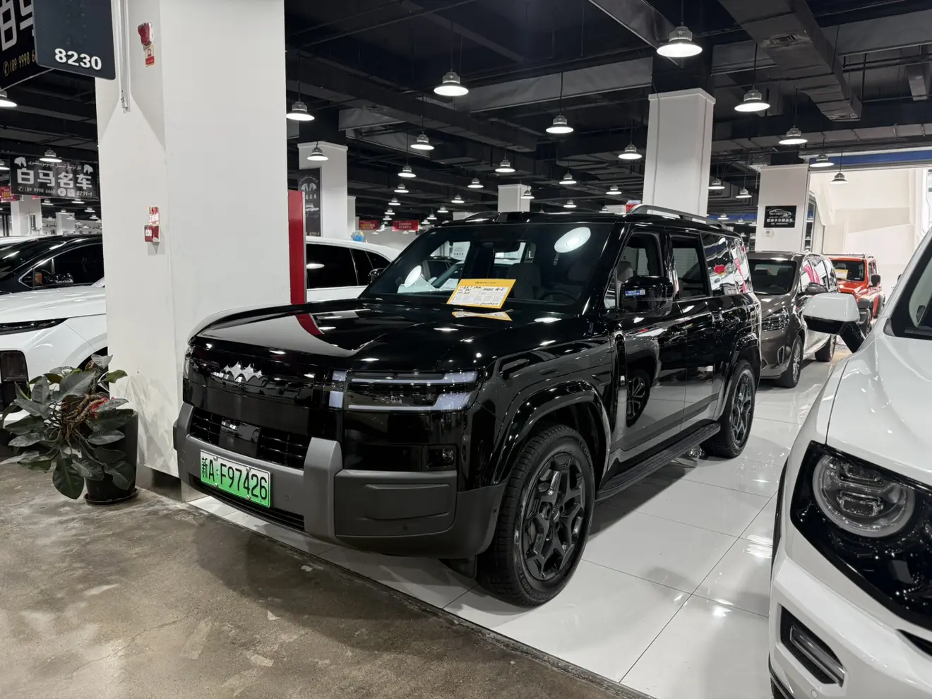 BYD Leopard Titanium 7  из Китая