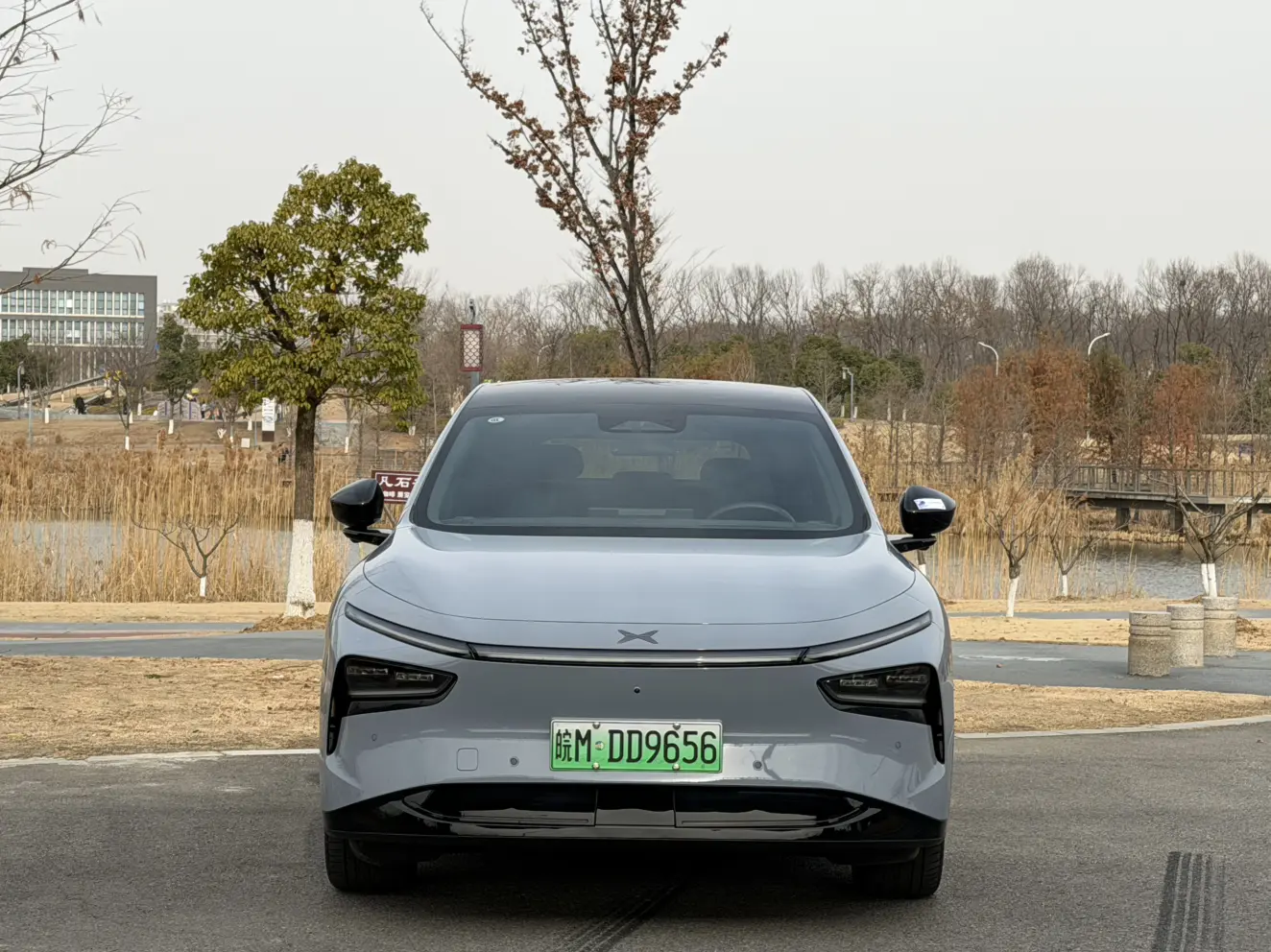 Xpeng G7  из Китая