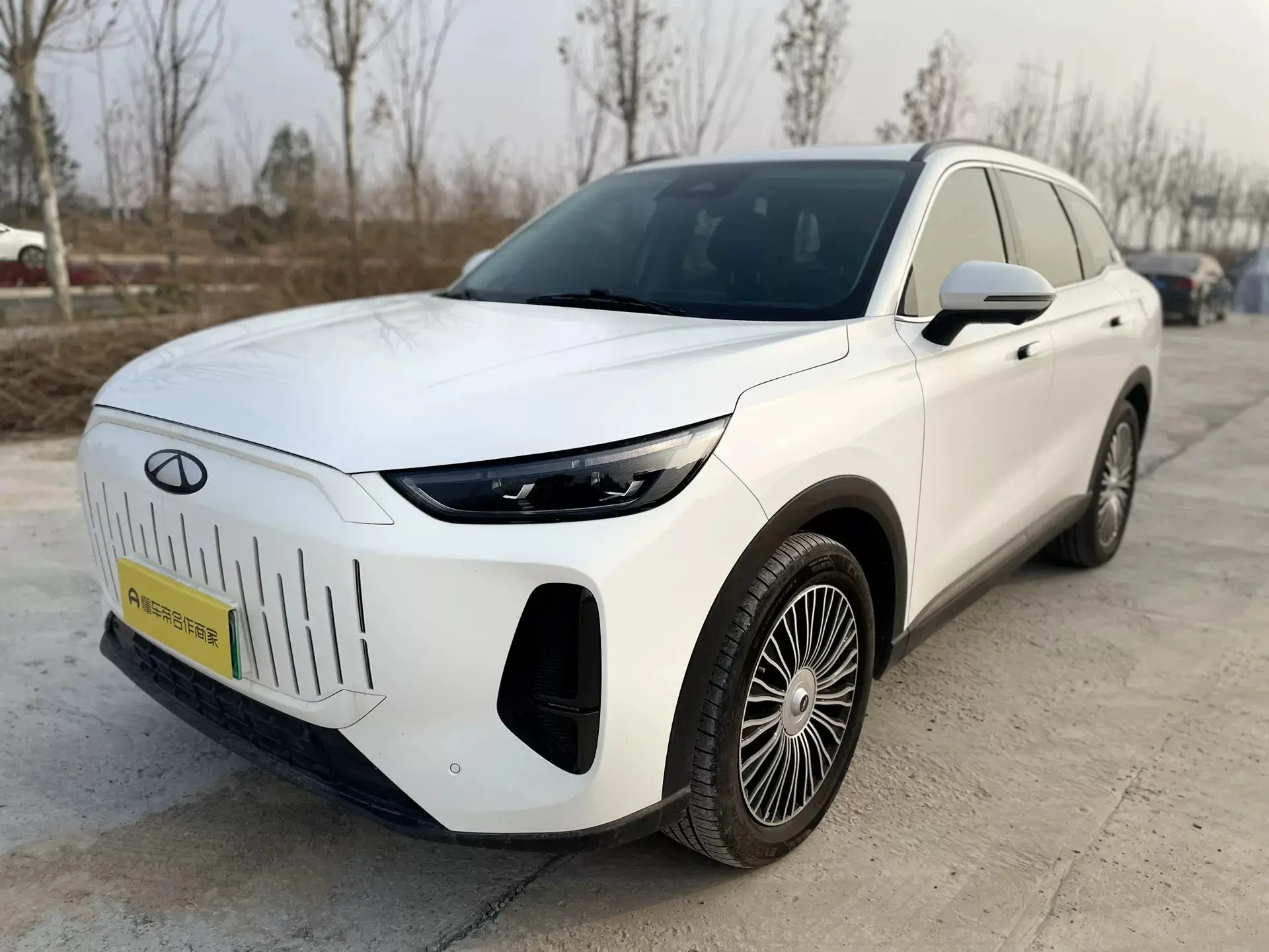 Chery Fengyun T9  из Китая