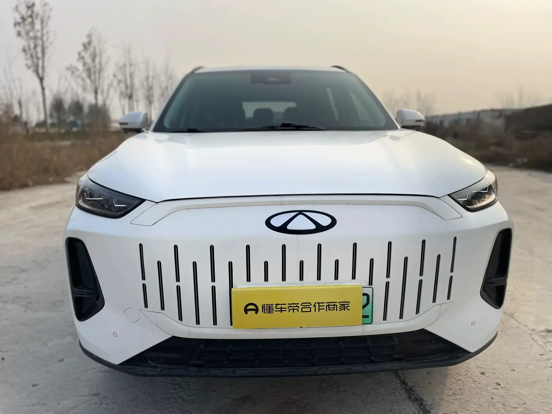 Chery Fengyun T9  из Китая