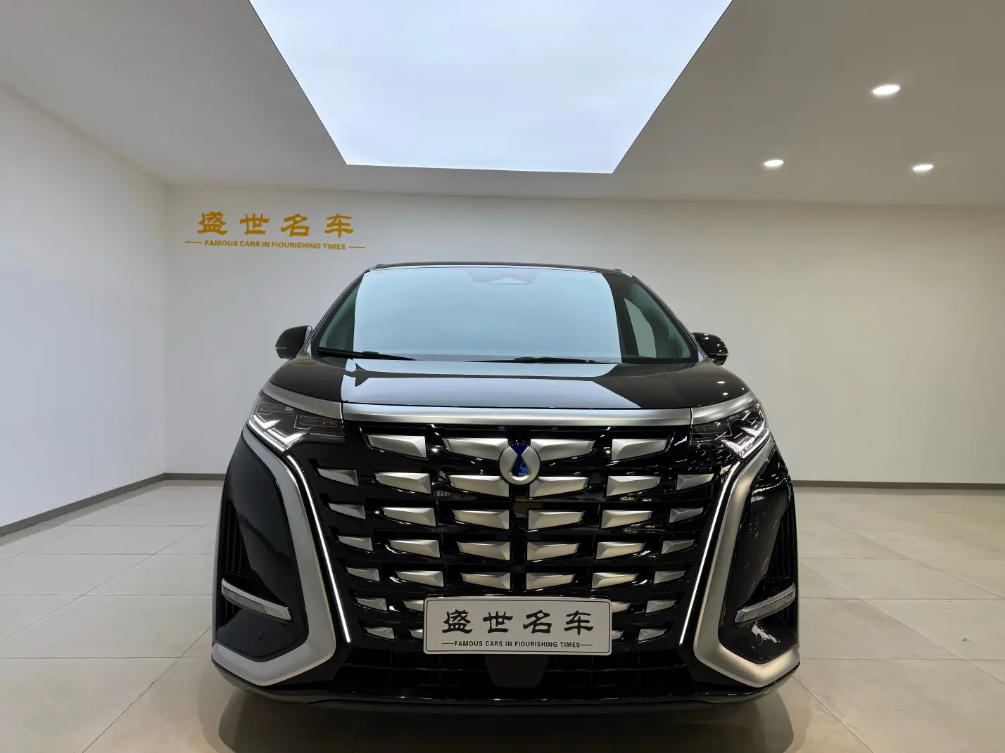 Denza D9 DM  из Китая