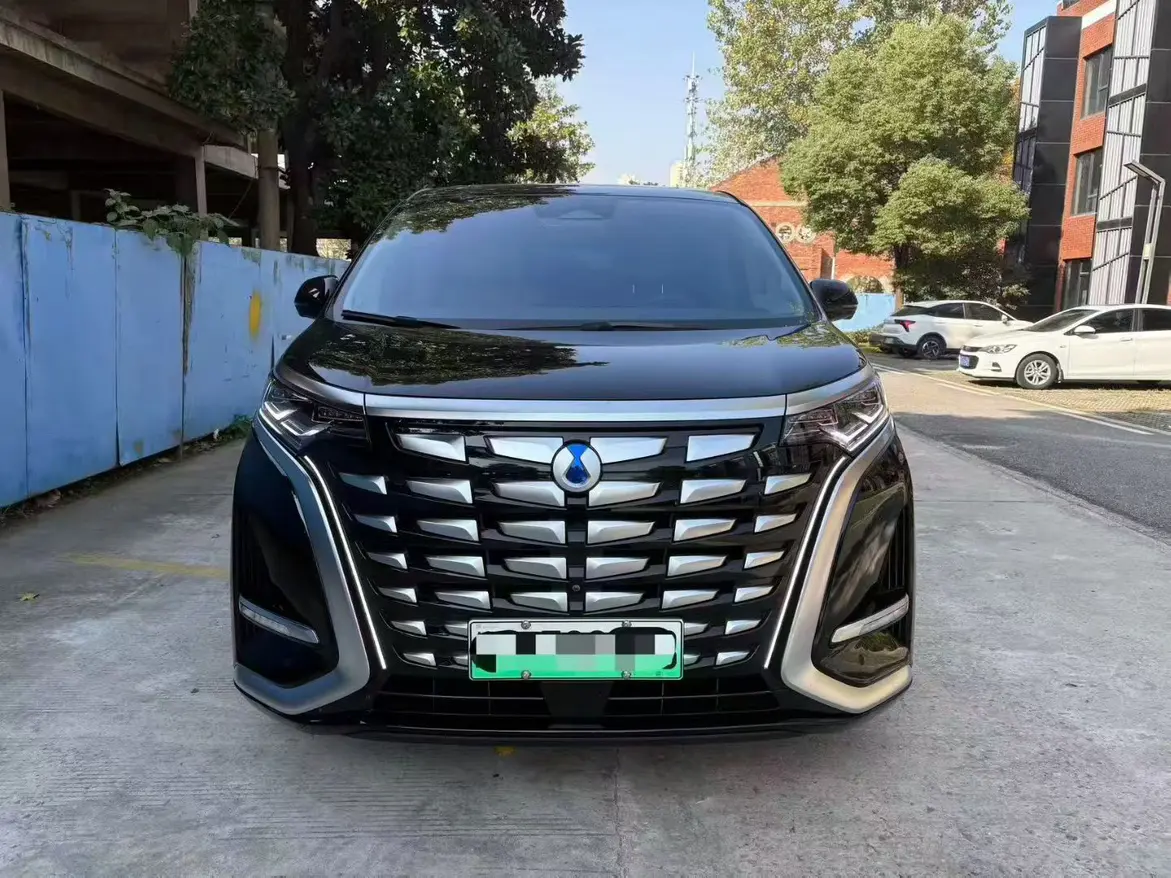 Denza D9 DM  из Китая