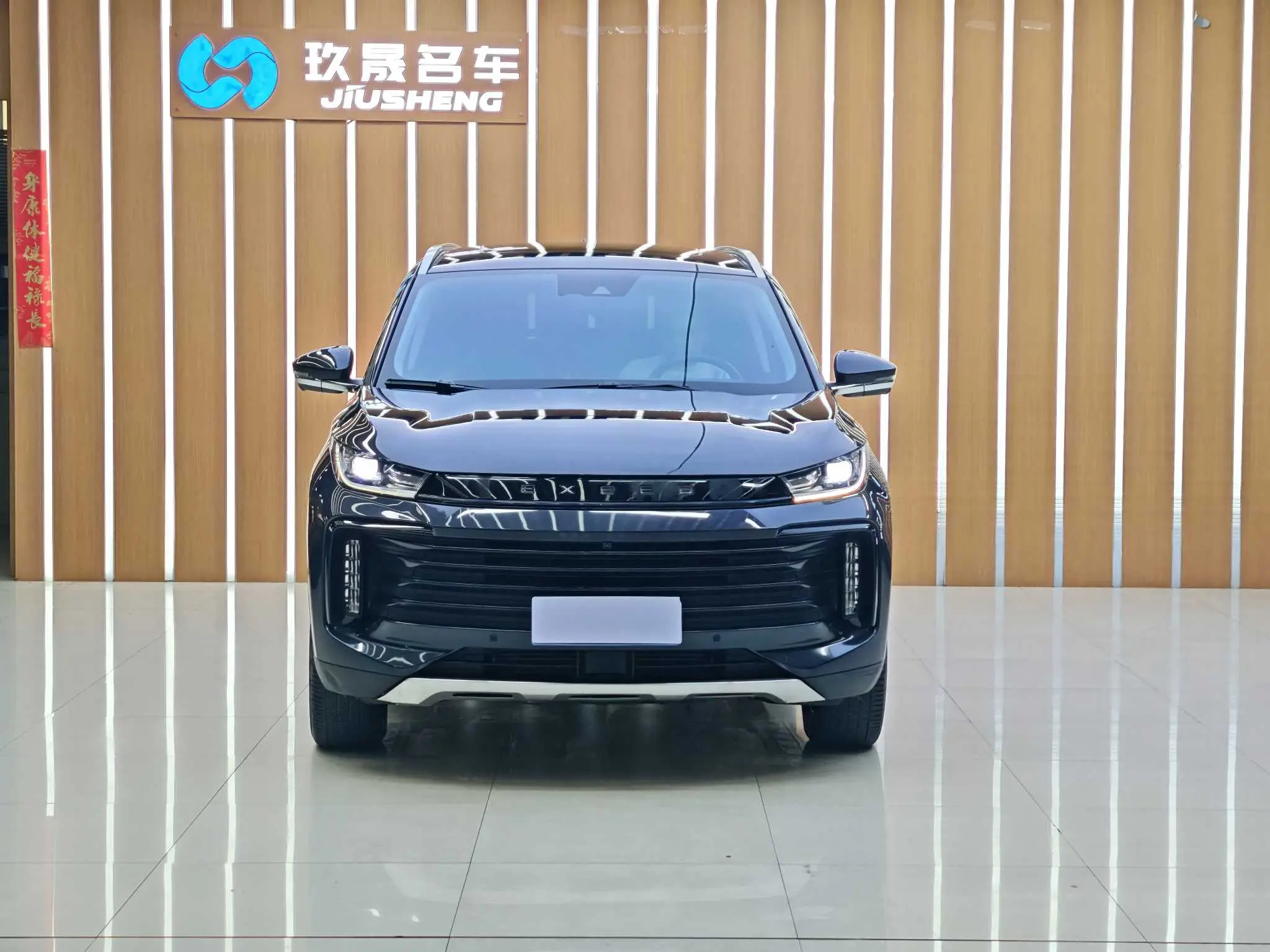 Exeed TXL (Stars in the clouds)  из Китая