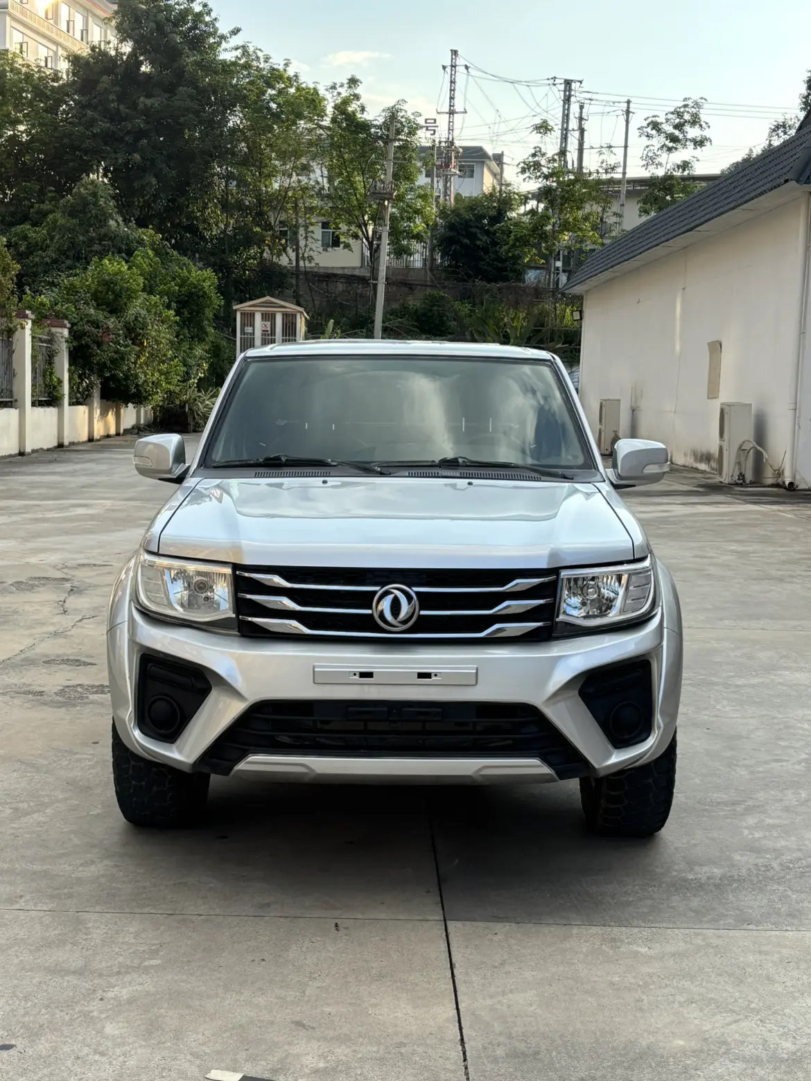 Dongfeng Ruiqi  из Китая