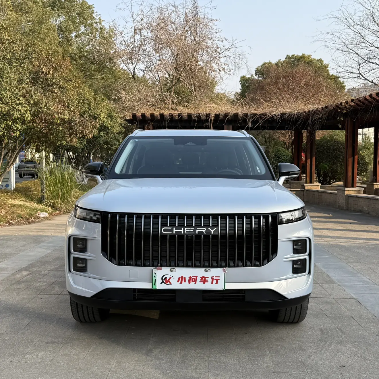 Chery Explore 06 C-DM  из Китая