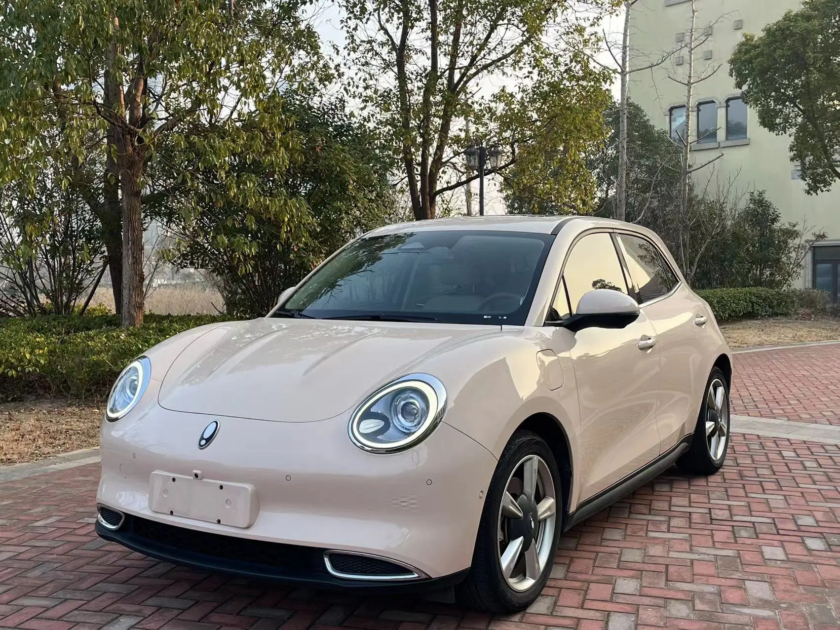 ORA Euler good cat  из Китая