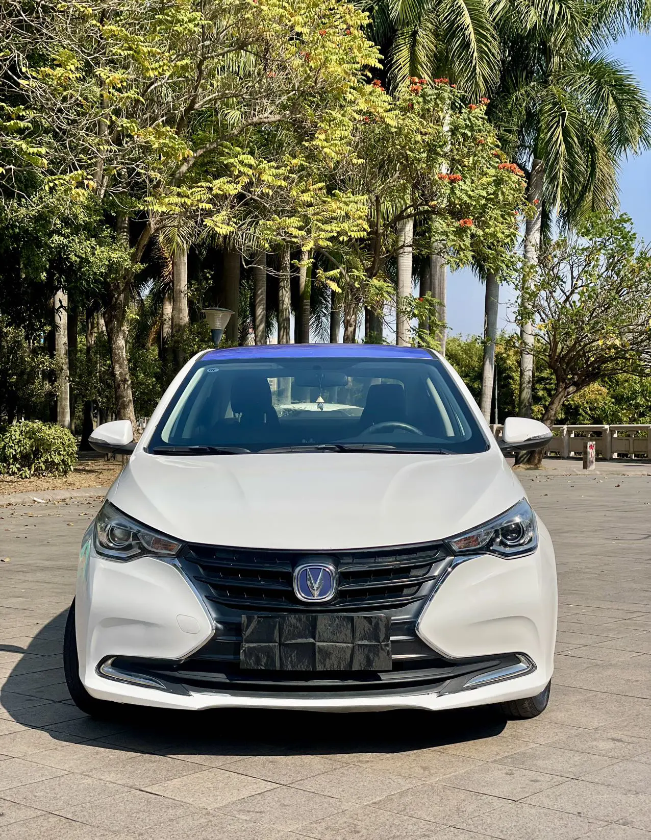 Changan Yuexiang  из Китая