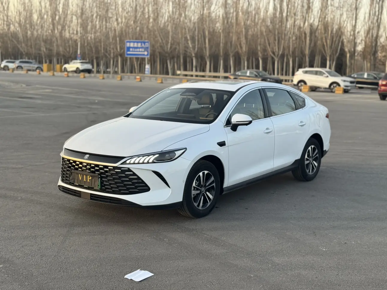 BYD Qin PLUS DM  из Китая