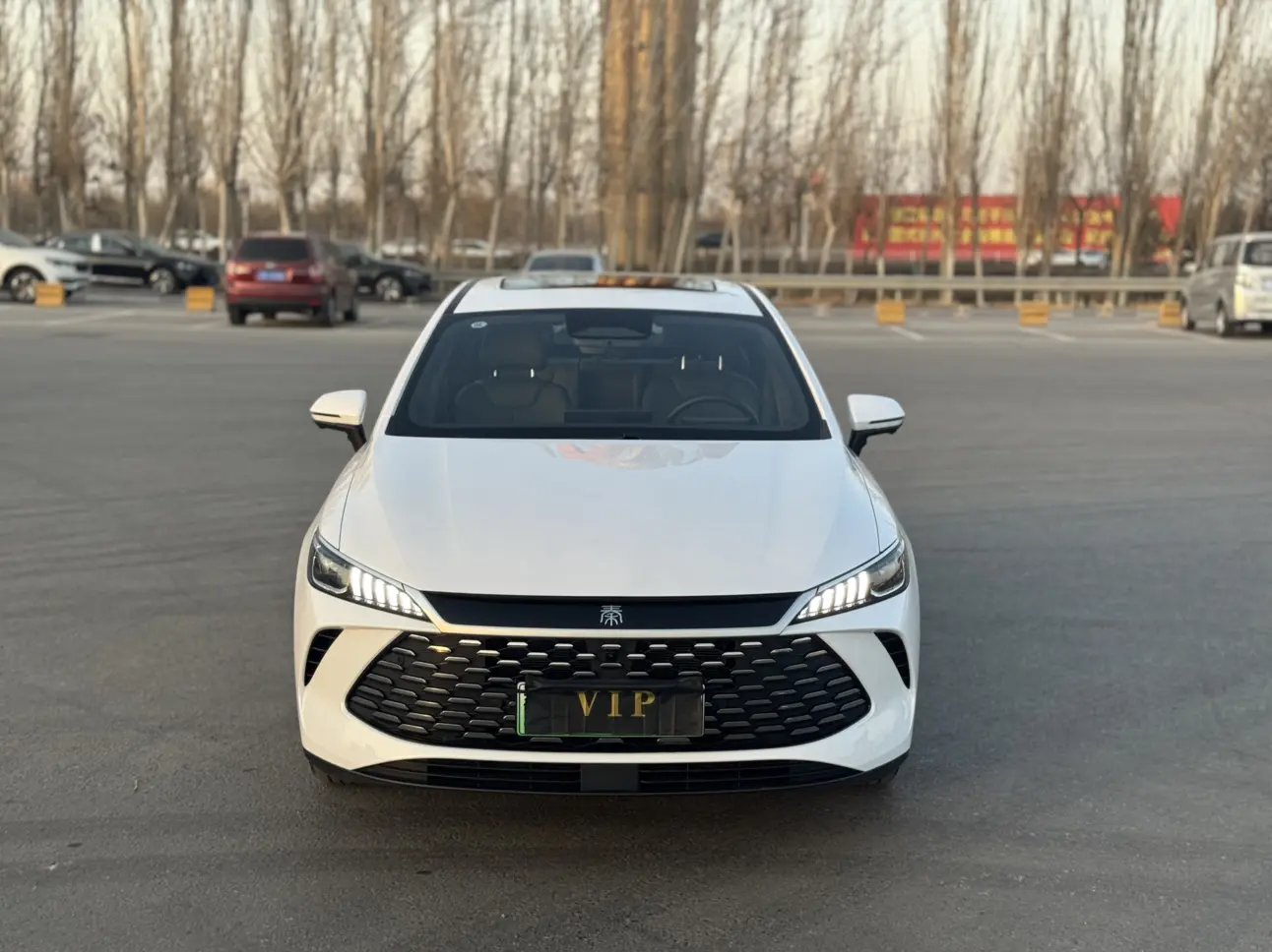 BYD Qin PLUS DM  из Китая