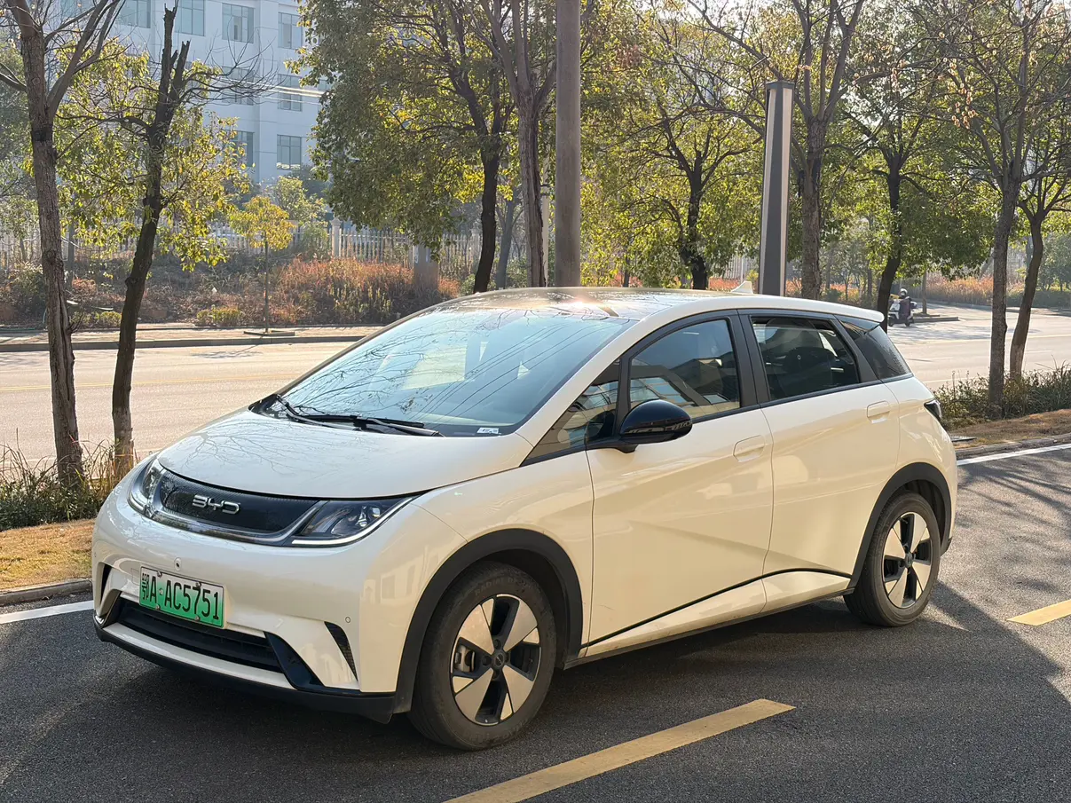 BYD Dolphin  из Китая