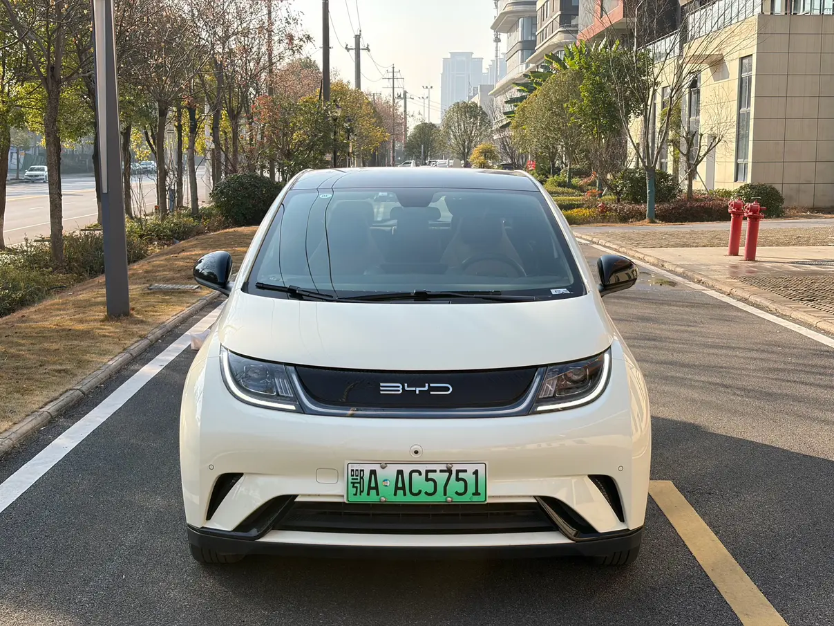 BYD Dolphin  из Китая