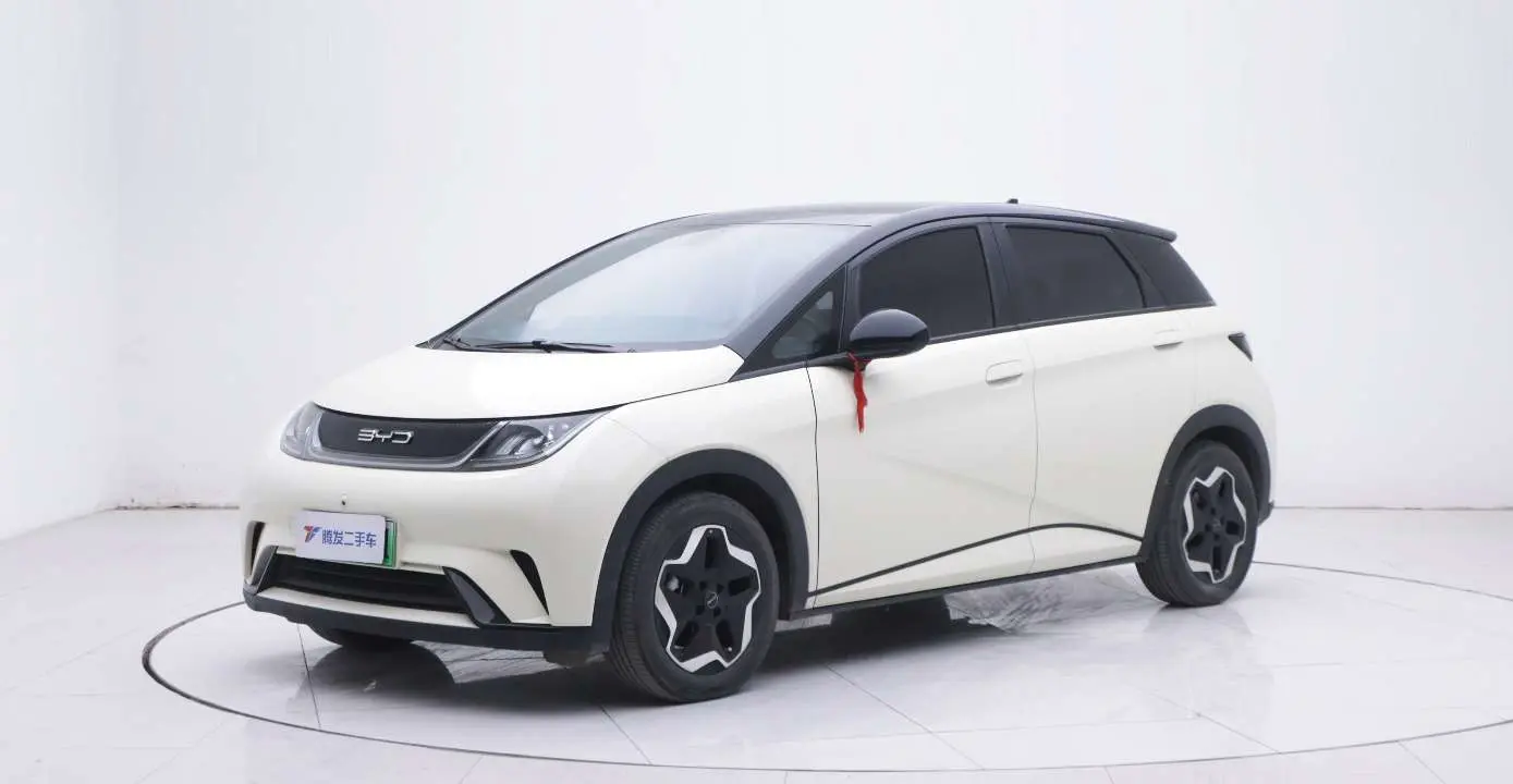 BYD Dolphin  из Китая