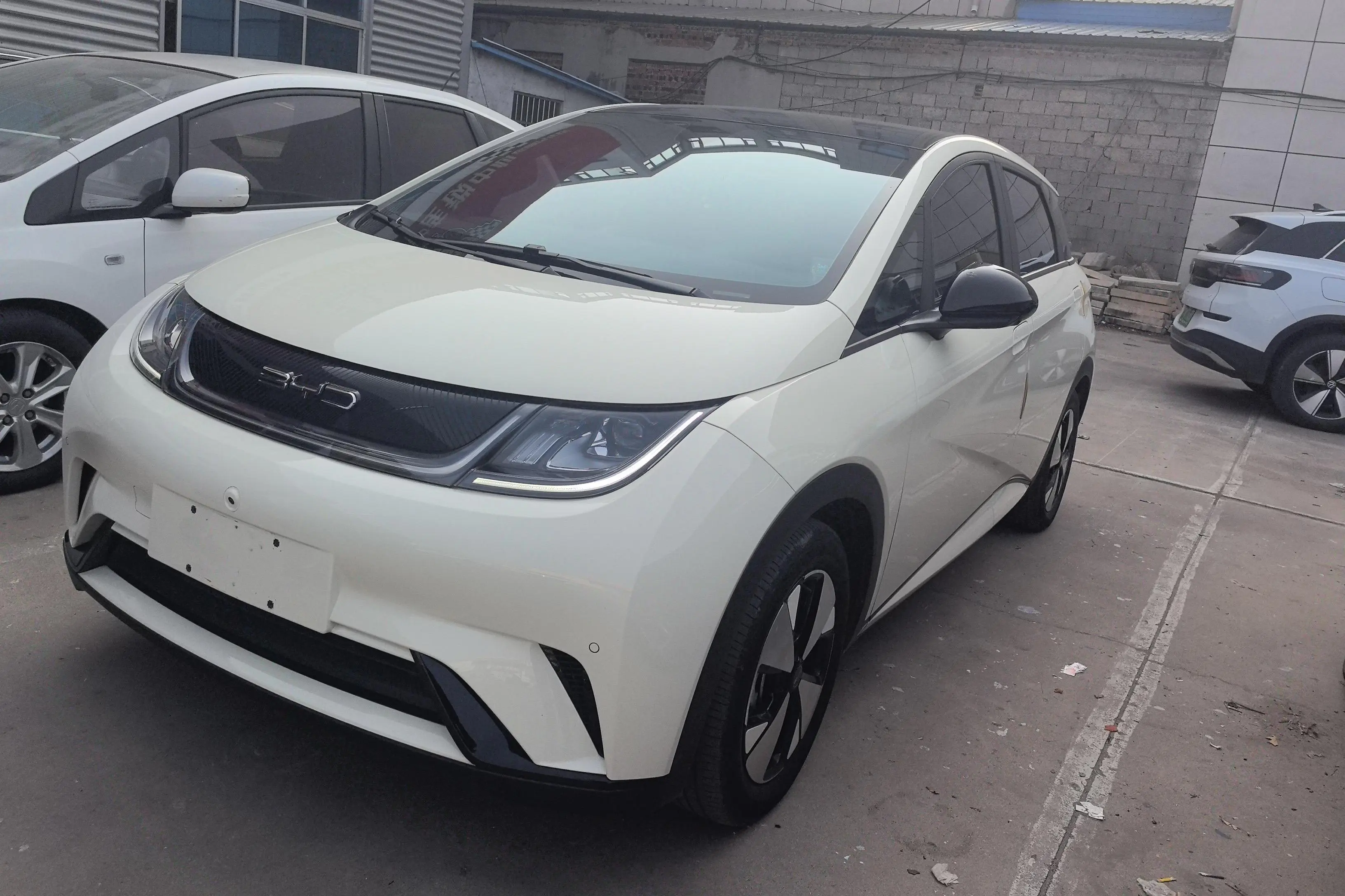 BYD Dolphin  из Китая