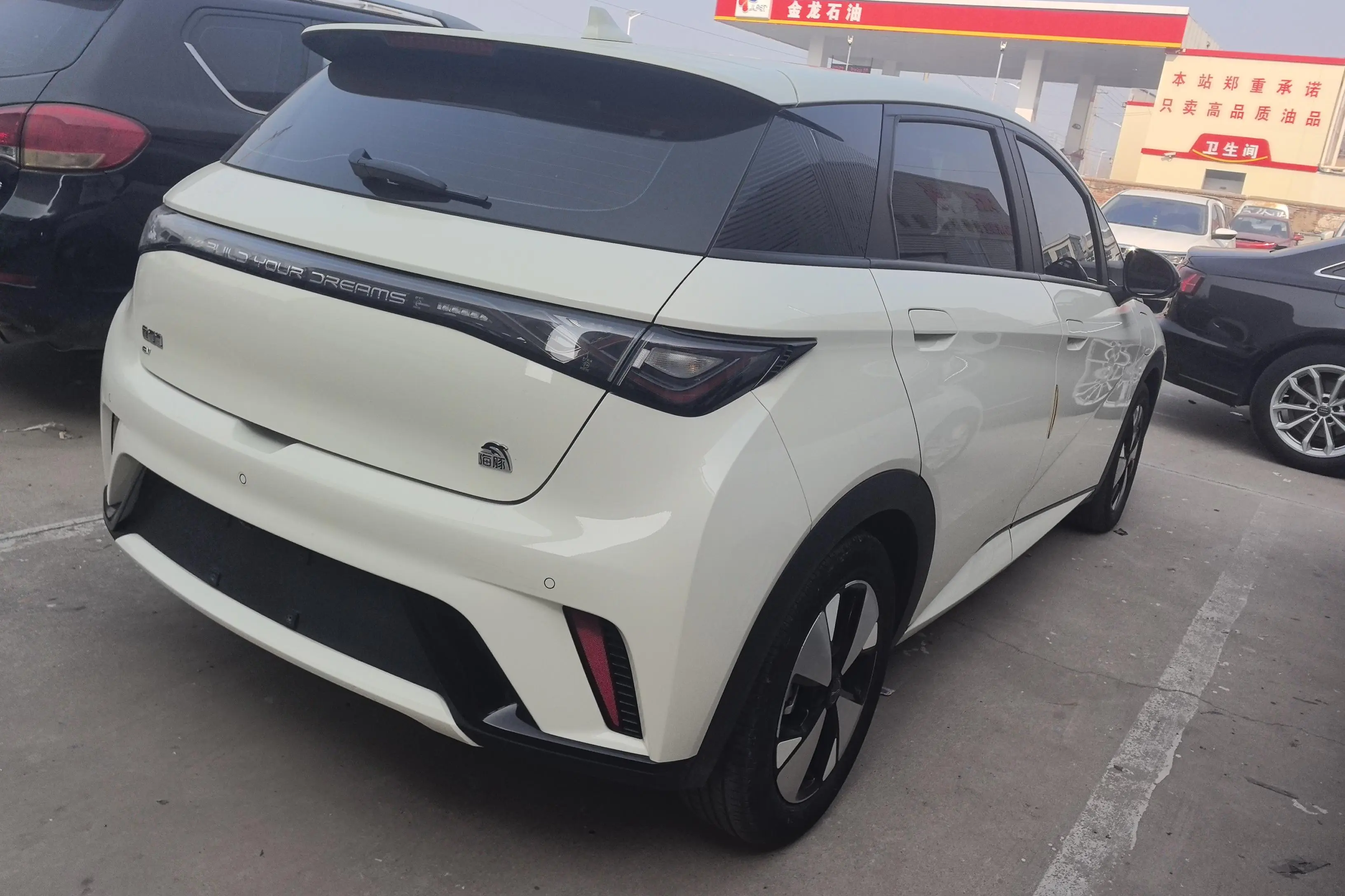 BYD Dolphin  из Китая