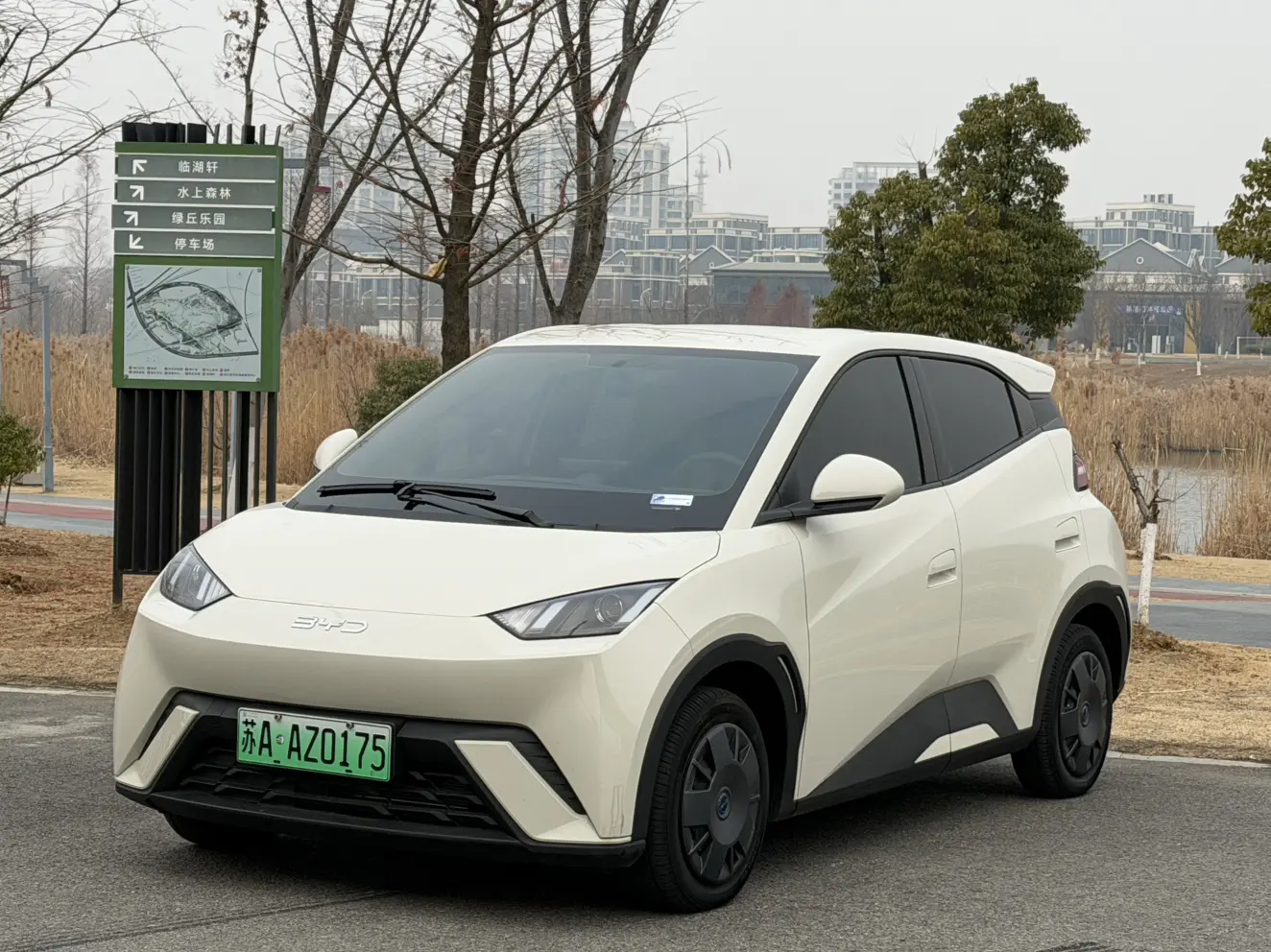 BYD Seagull  из Китая