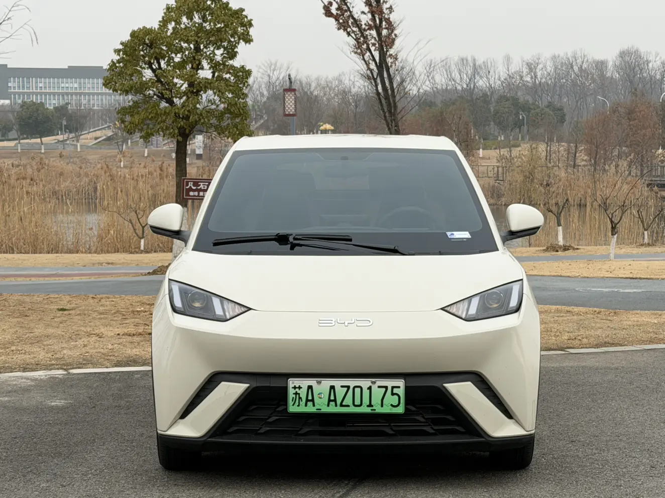 BYD Seagull  из Китая