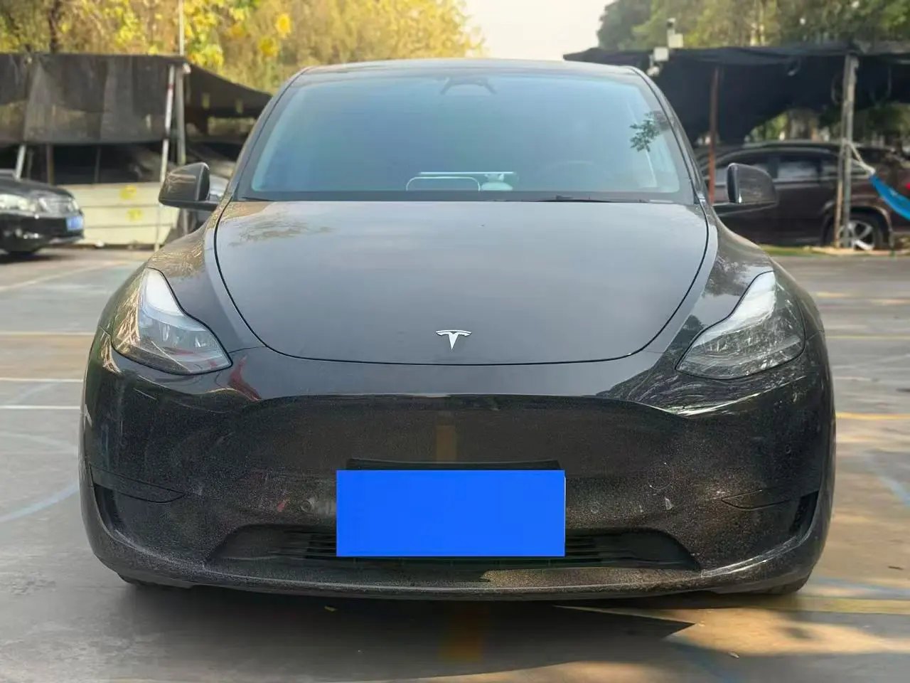 Tesla Model Y  из Китая