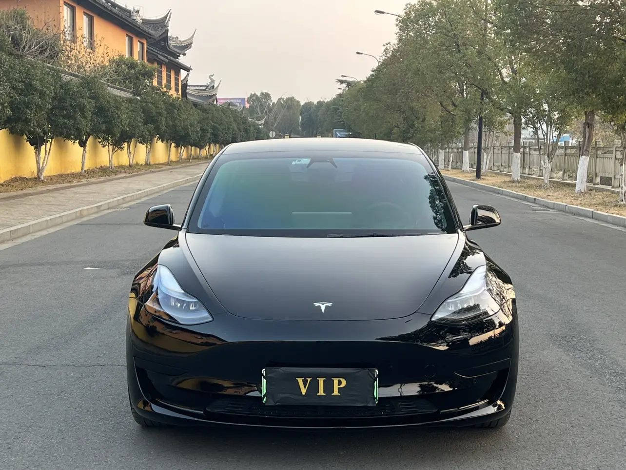 Tesla Model 3  из Китая