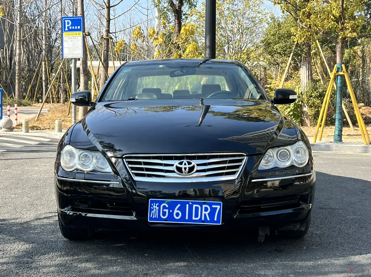 Toyota Ruizhi  из Китая