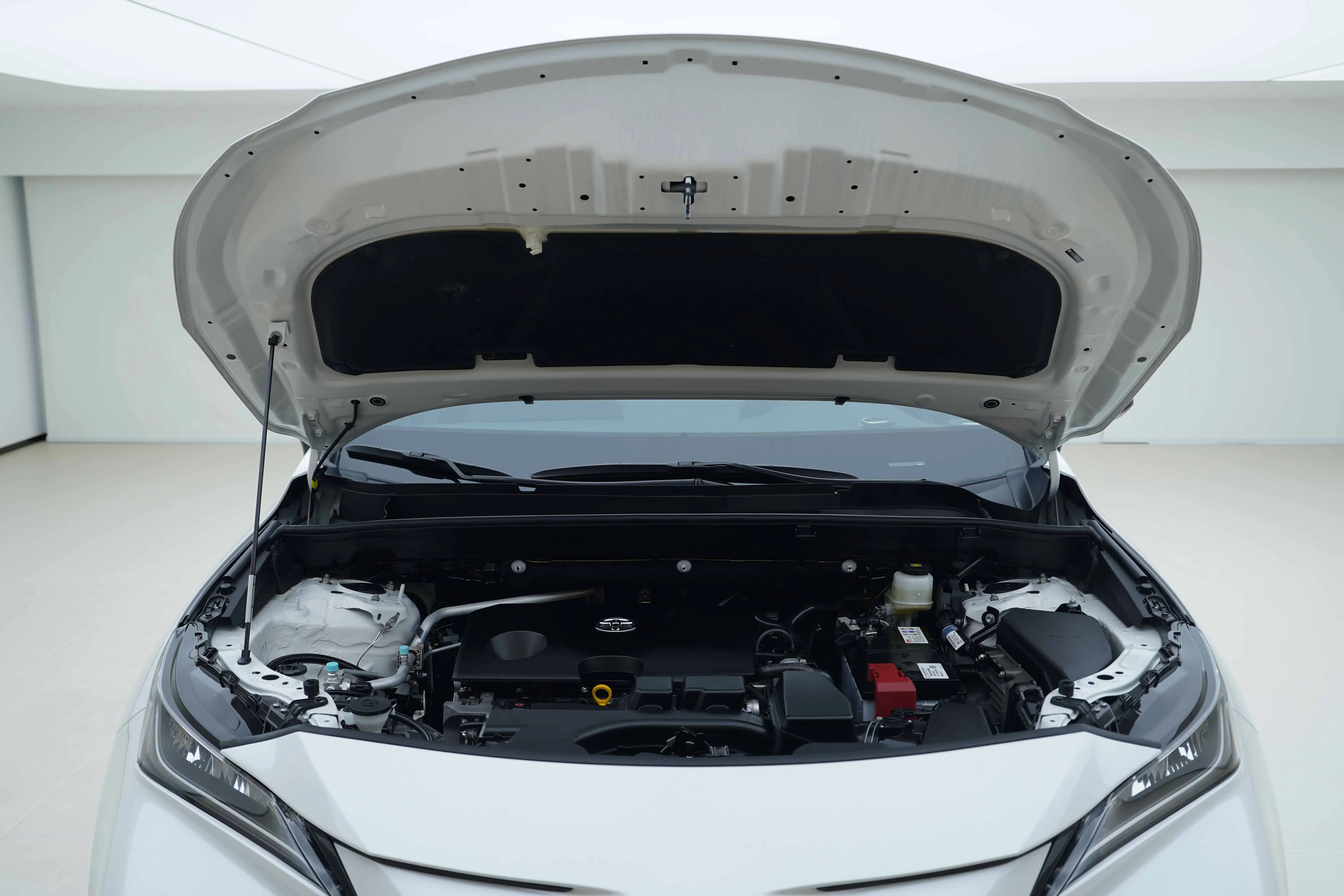 Toyota Venza (Wei Sa)  из Китая