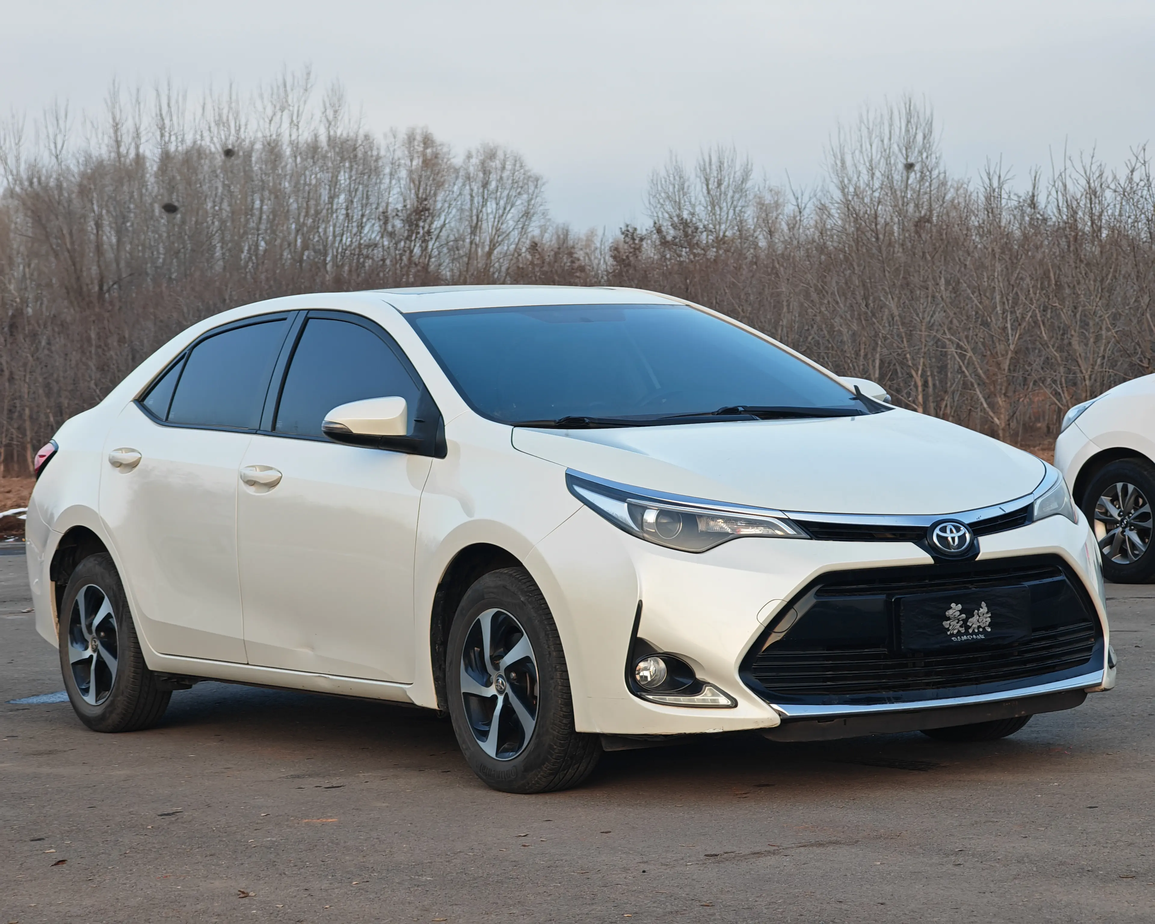 Toyota Levin (Lei Ling)  из Китая