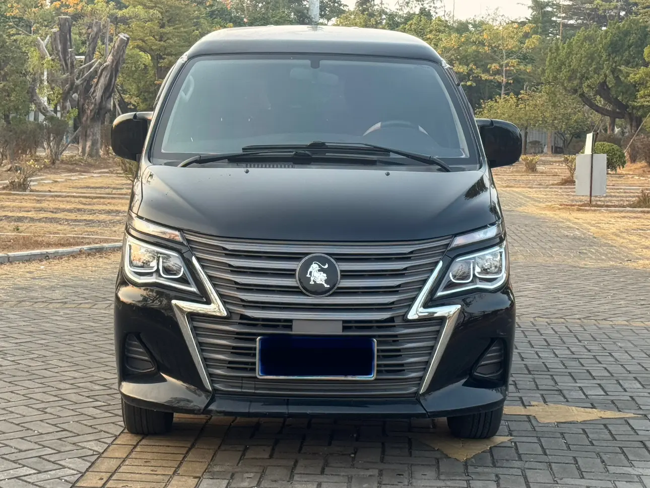 Forthing Lingzhi  из Китая