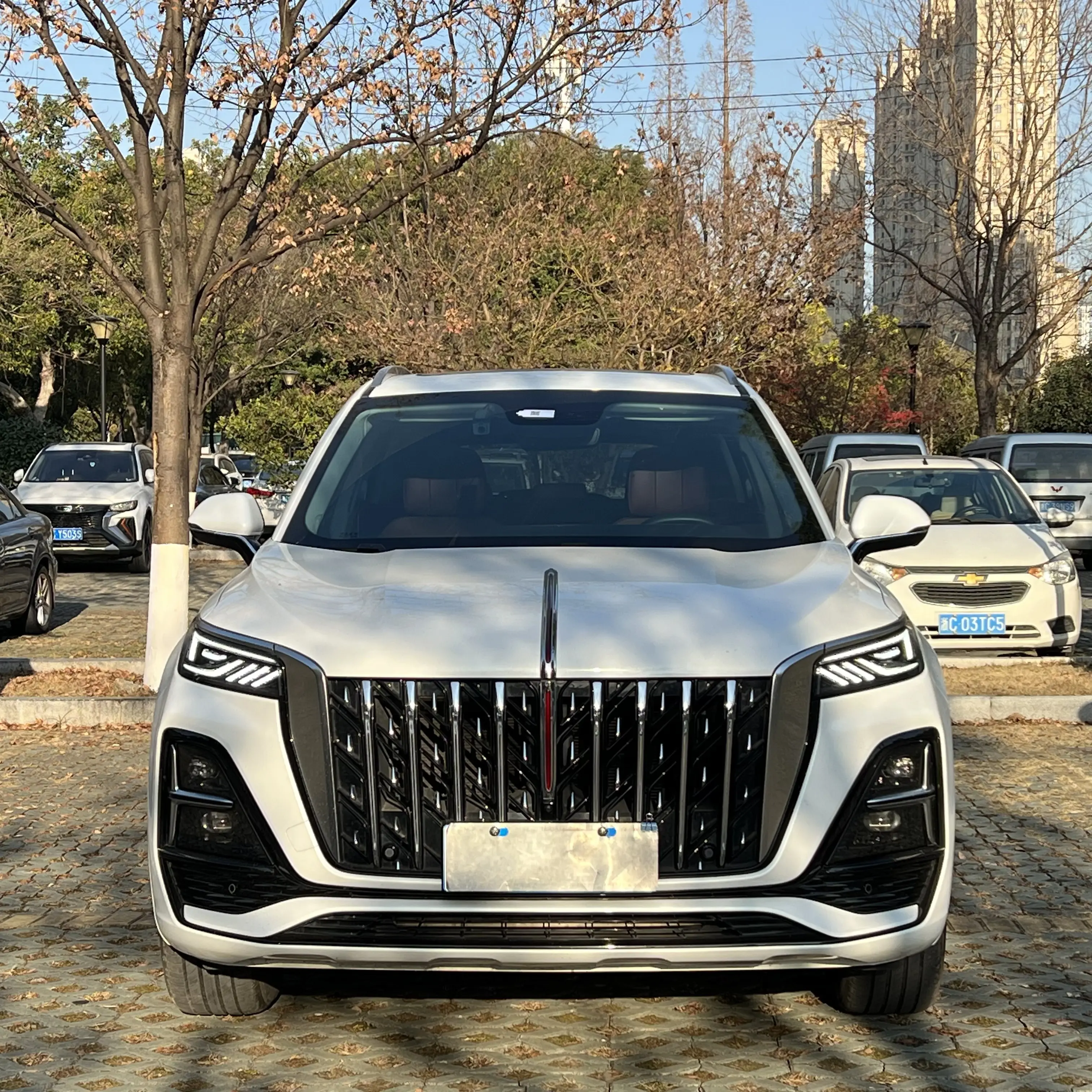 Hongqi HS5  из Китая