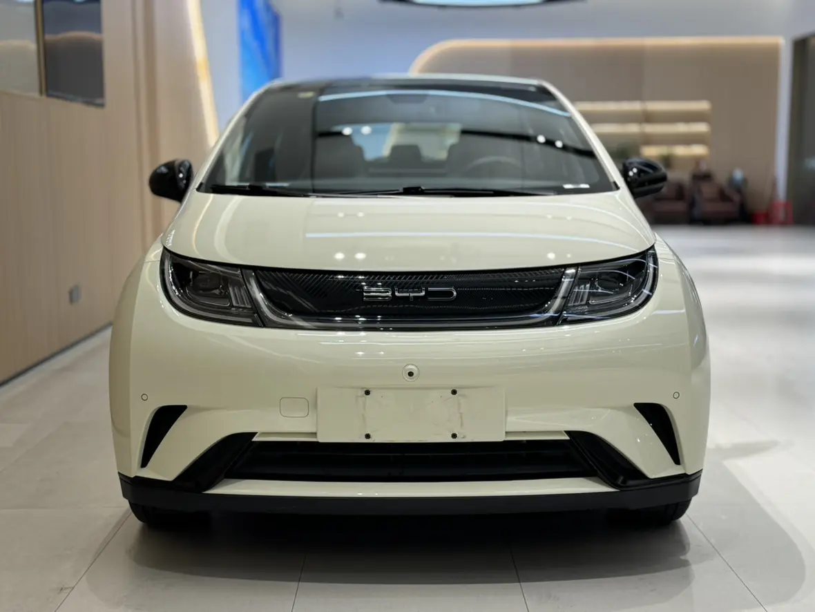 BYD Dolphin  из Китая