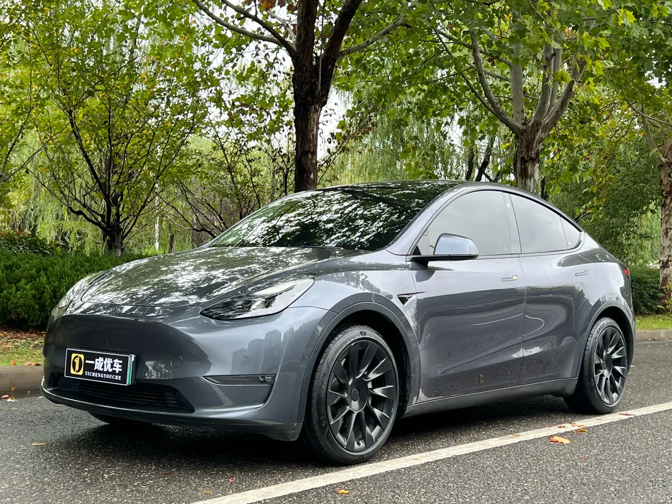 Tesla Model Y  из Китая
