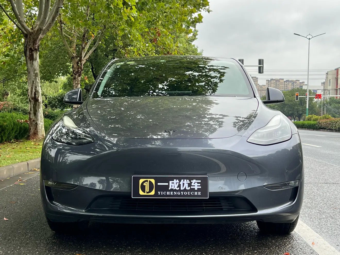 Tesla Model Y  из Китая