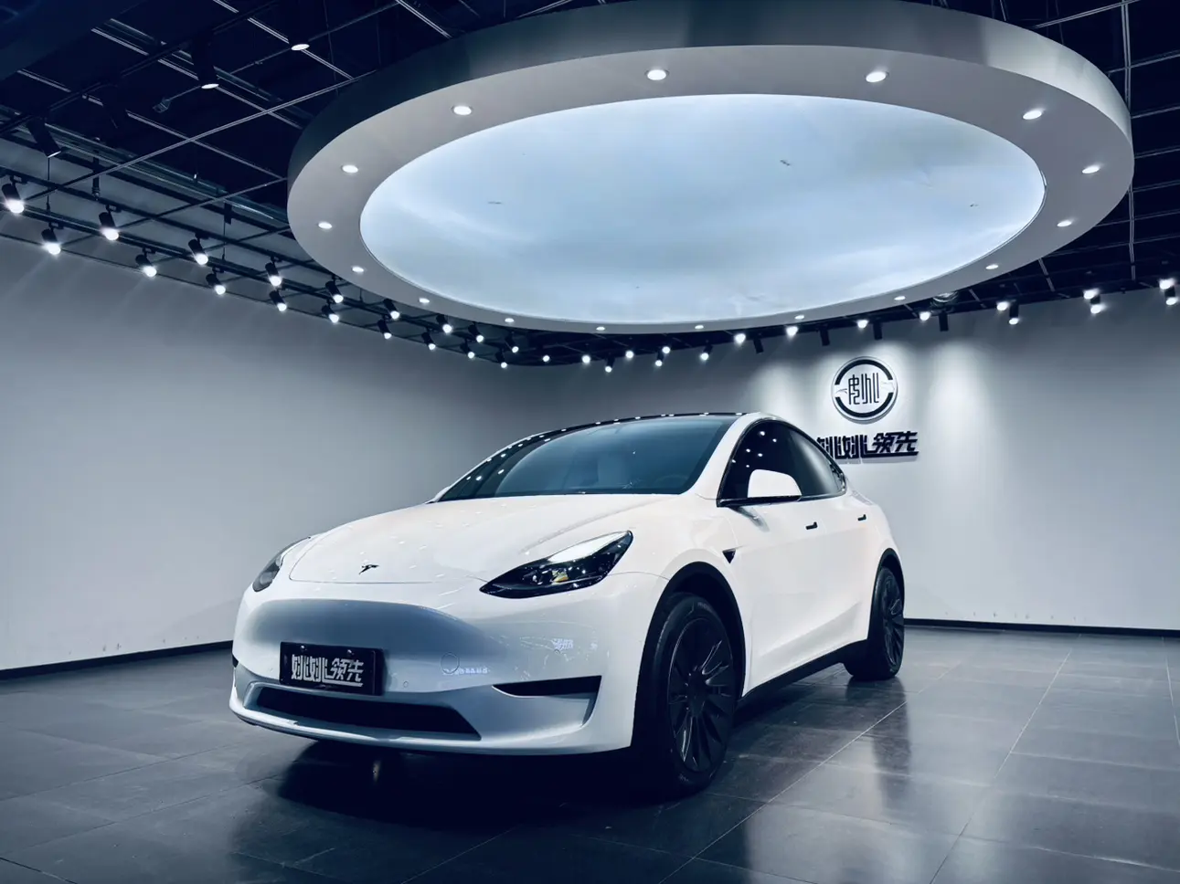 Tesla Model Y  из Китая