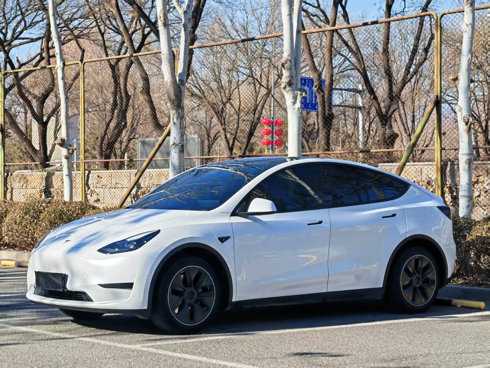 Tesla Model Y  из Китая