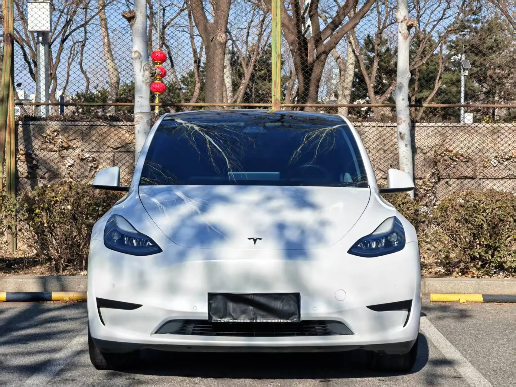 Tesla Model Y  из Китая