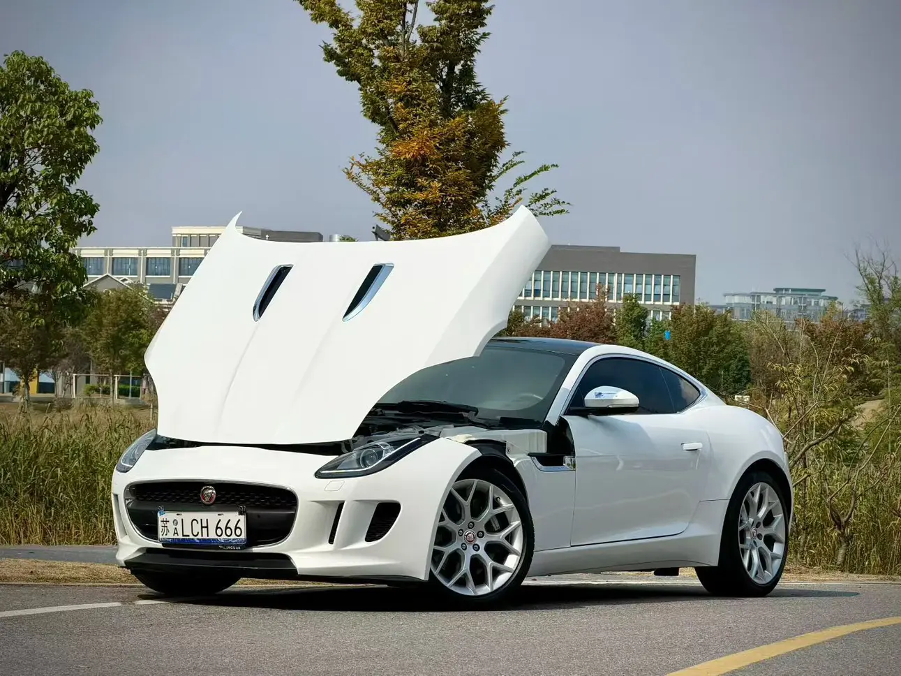 Jaguar F-TYPE  из Китая